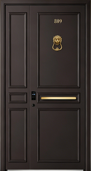 All Aluminum Door